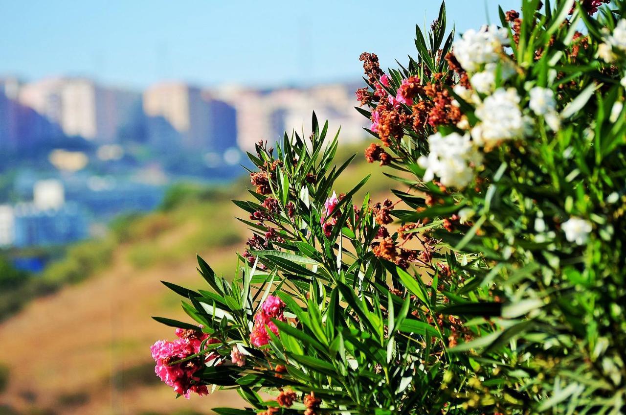 Hilltop Oasis Lisboa Oeiras Exterior foto