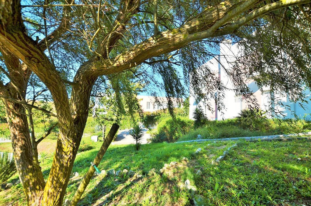 Hilltop Oasis Lisboa Oeiras Exterior foto